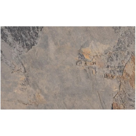 Ardesia Antislip Gris